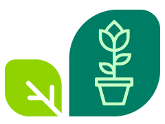 Eccø Sello Verde: Beneficios Medioambientales