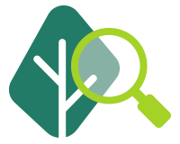 Eccø Sello Verde: Aspectos analizados