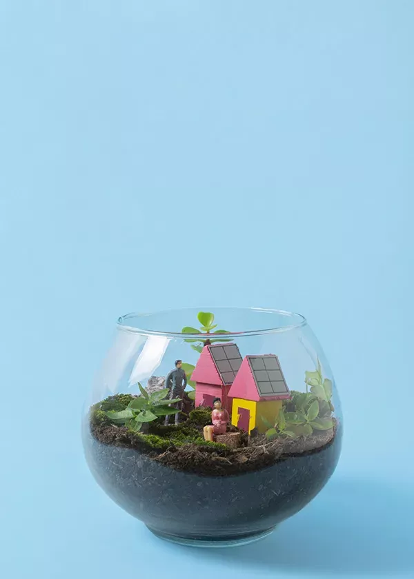 Elementos de diseño de viviendas bioclimáticas